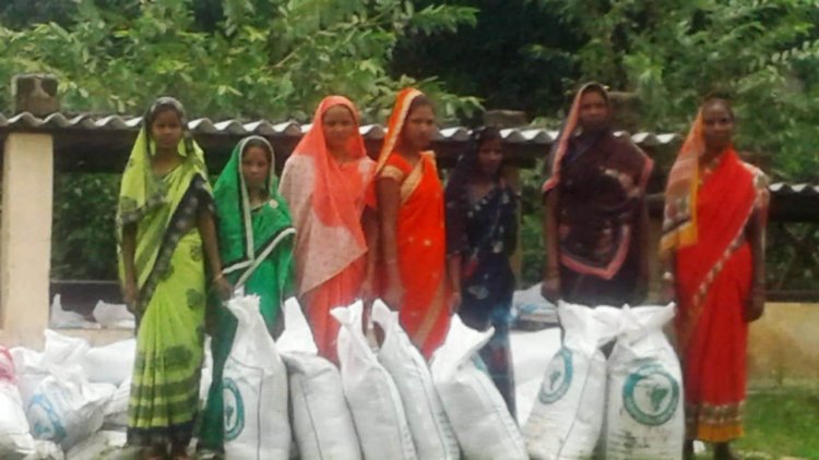 सोरगा गौठान की दो महिला समूहों ने वर्मी कम्पोस्ट से अर्जित किया : 1.81 लाख रूपए का मुनाफा
