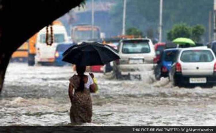 तमिलनाडु में भारी बारिश, चेन्नई व तीन अन्य जिलों में बंद रहेंगे स्कूल