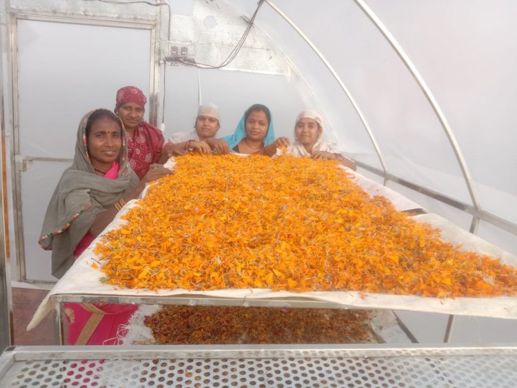 मुख्यमंत्री भूपेश बघेल 18 फरवरी को लॉन्च करेंगे गौठानों के उत्पाद के एकीकृत ब्रांड ‘अर्थ‘ को