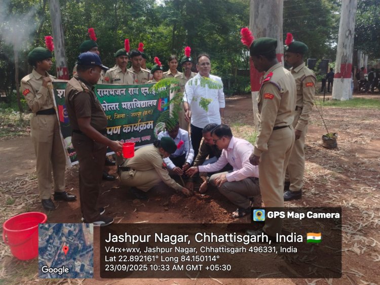 एनसीसी सीनियर डिवीजन के द्वारा वृक्षारोपण