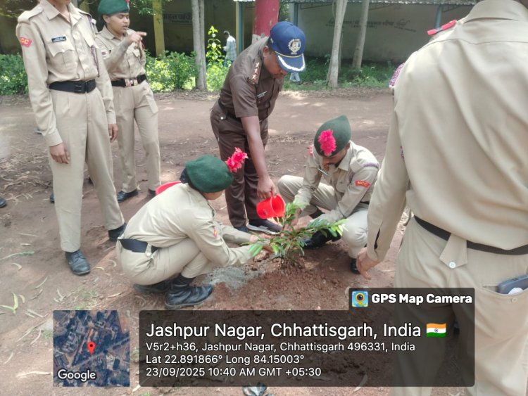 एनसीसी सीनियर डिवीजन के द्वारा वृक्षारोपण